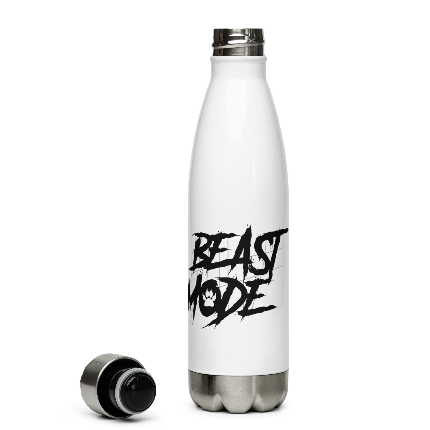 Stainless steel water bottle